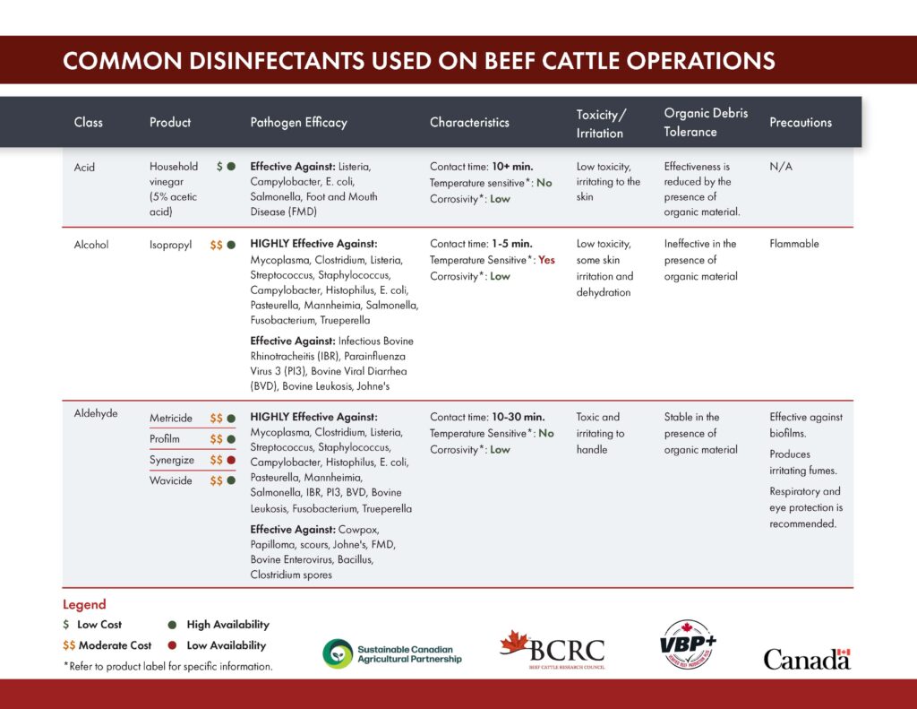 common disinfectants used on beef cattle operations