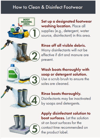 how to clean and disinfect footwear