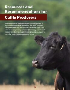 Farm tour biosecurity guide for beef producers