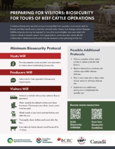 beef producers preparing for farm visitors