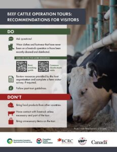 tour recommendations for visitors to beef cattle operations